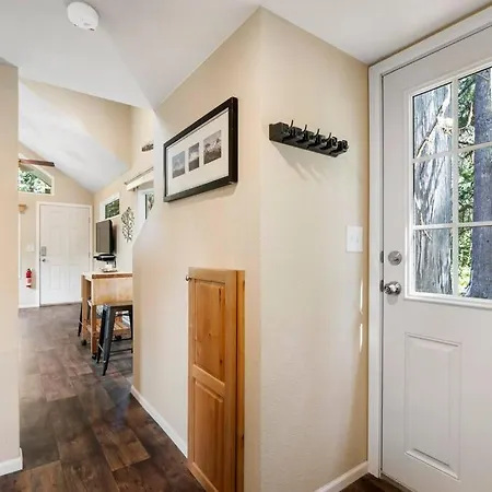 New Tiny Home Steps Away From Mt. Rainier Ashford Exterior photo