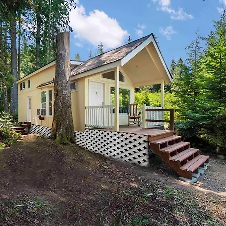 New Tiny Home Steps Away From Mt. Rainier Ashford Exterior photo