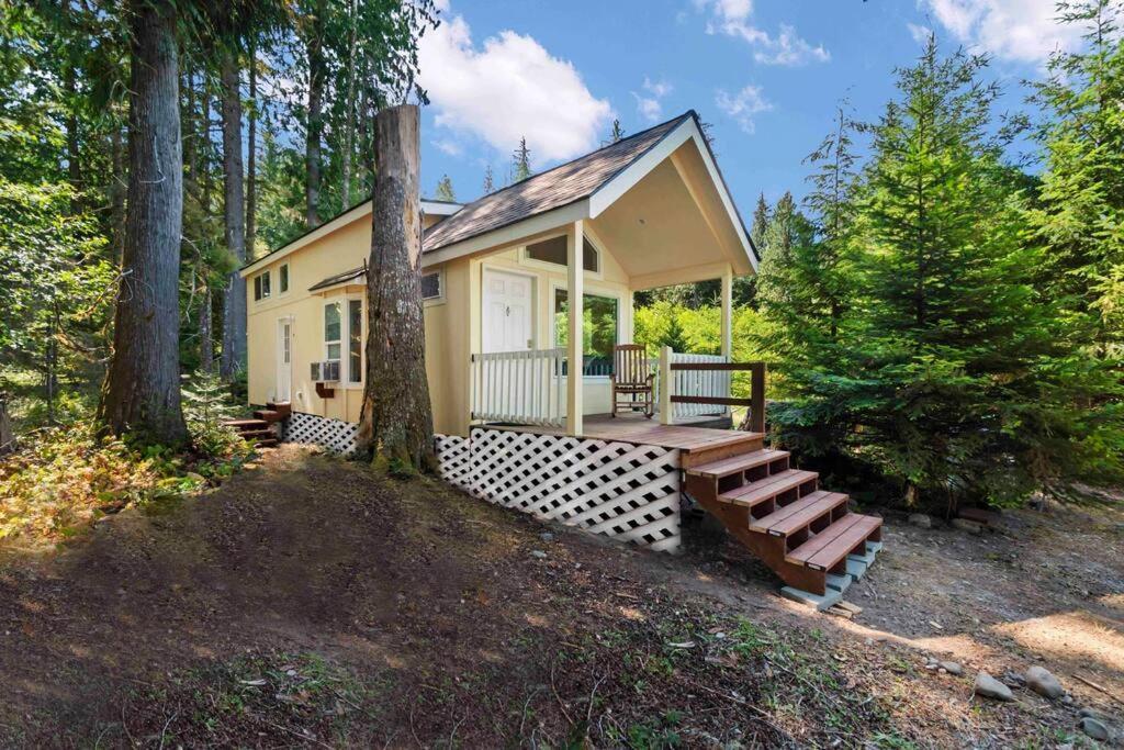 New Tiny Steps Away From Mt. Rainier