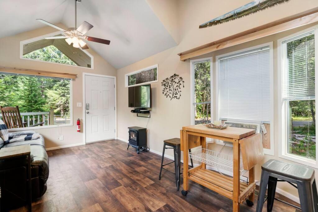 New Tiny Steps Away From Mt. Rainier