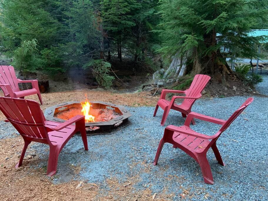 New Tiny Steps Away From Mt. Rainier Ashford