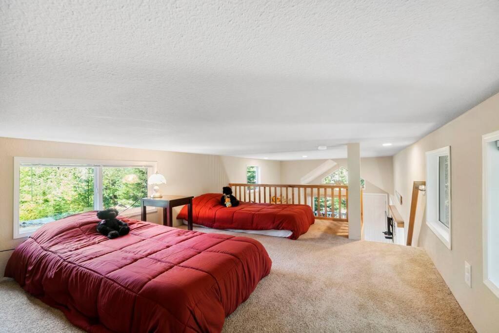 New Tiny Steps Away From Mt. Rainier *