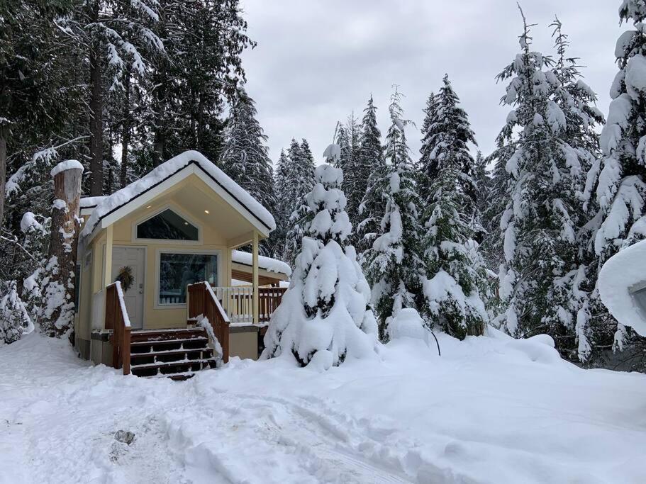 Holiday home New Tiny Steps Away From Mt. Rainier